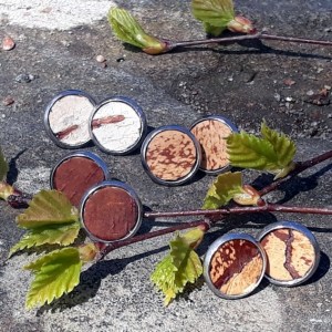 Tuohi-korvakorut - Birch Bark Earrings