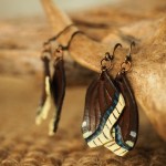 Suruvaippa-korvakorut